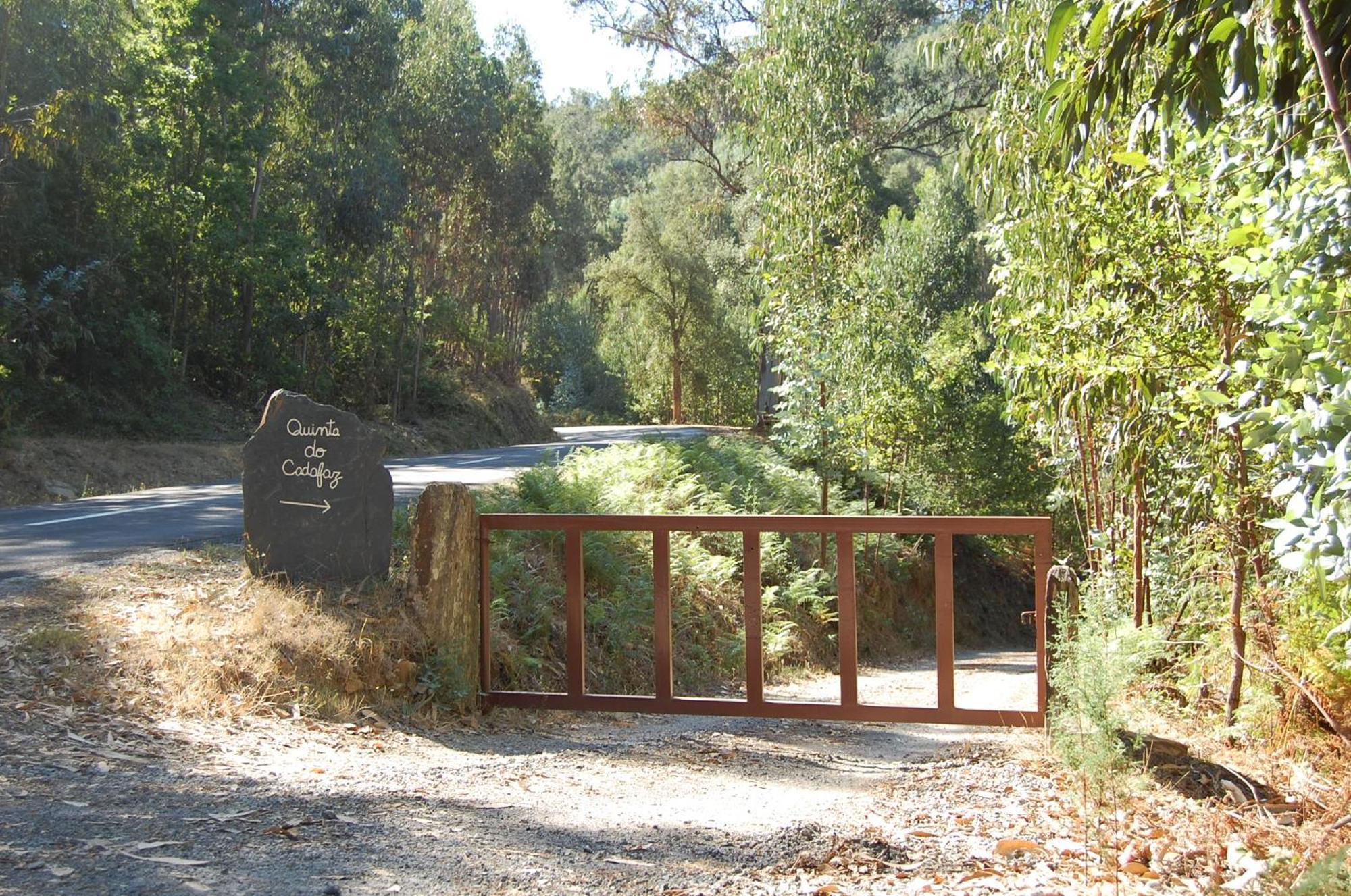 Casa De Campo "Quinta Do Cadafaz" Alvarenga Εξωτερικό φωτογραφία